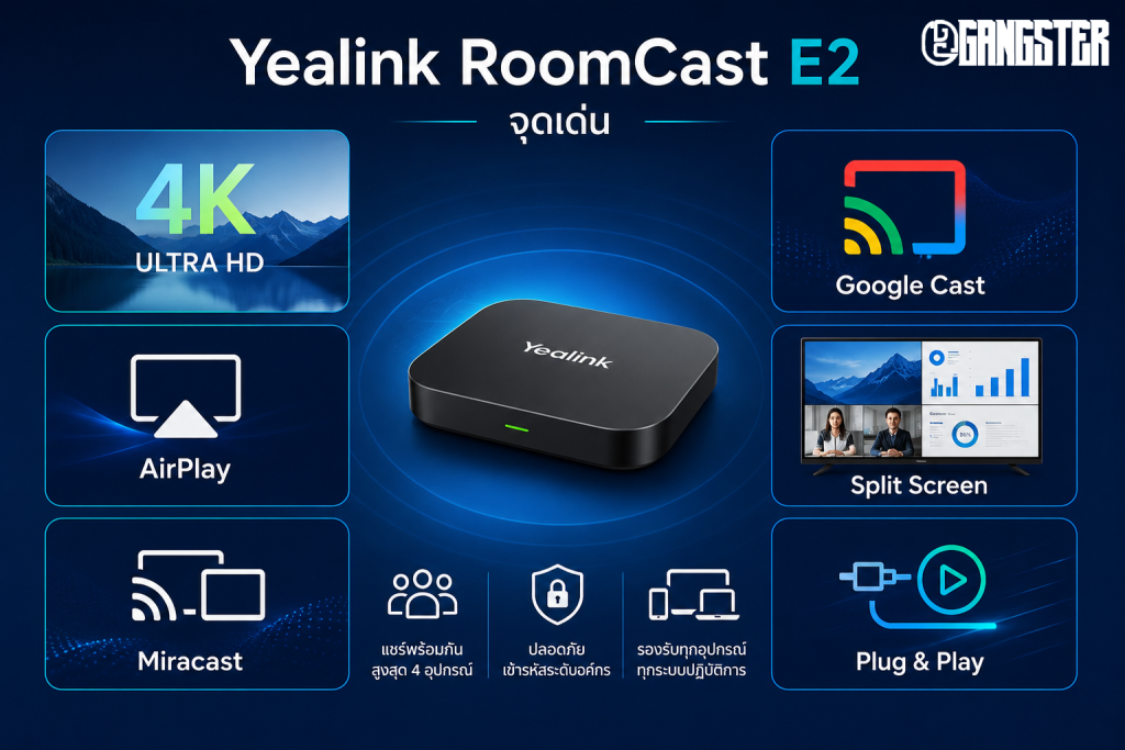 roomcast-e2-features