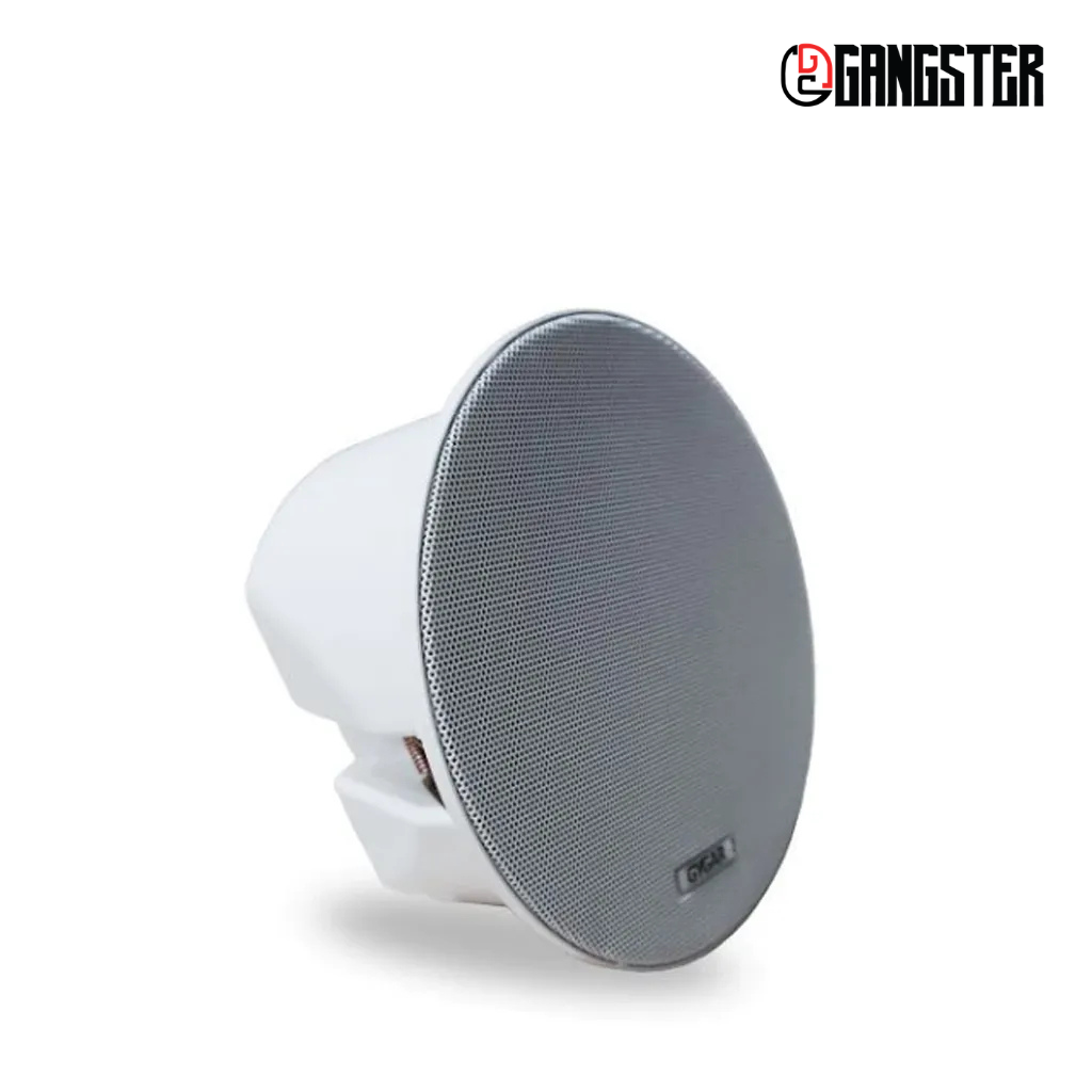 GYGAR GS10C
